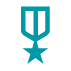 Icon of a veteran's medal